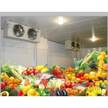 OEM Factory Cold Room and Deep Freezer Cold Room